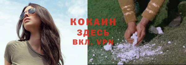 ALPHA-PVP Алексеевка
