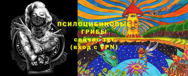 стаф Ростов