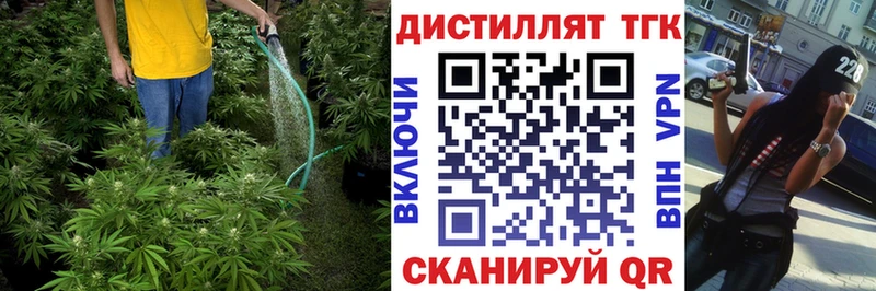 Дистиллят ТГК концентрат Амурск