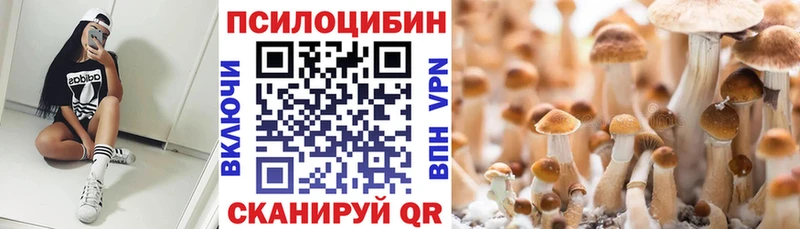 Галлюциногенные грибы Psilocybe  Амурск 