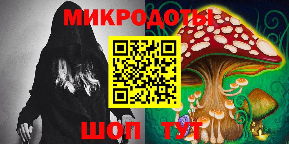 Галлюциногенные грибы Psilocybine cubensis Амурск