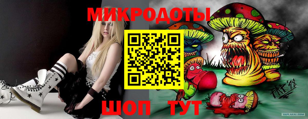 Амурск  Псилоцибиновые грибы Psilocybine cubensis  Вход с VPN 